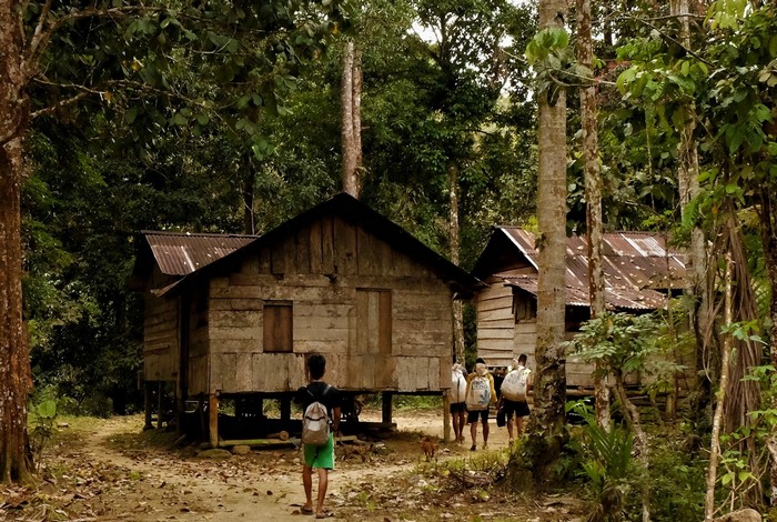 Foto